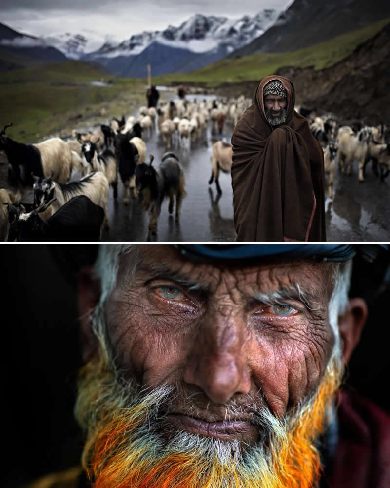 Portrait of an elderly Kashmiri shepherd with a weathered face and dyed orange beard paired with a mountain valley scene in Kashmir, India, where a shepherd guides a large flock of sheep along a road beneath snow-capped Himalayan peaks.