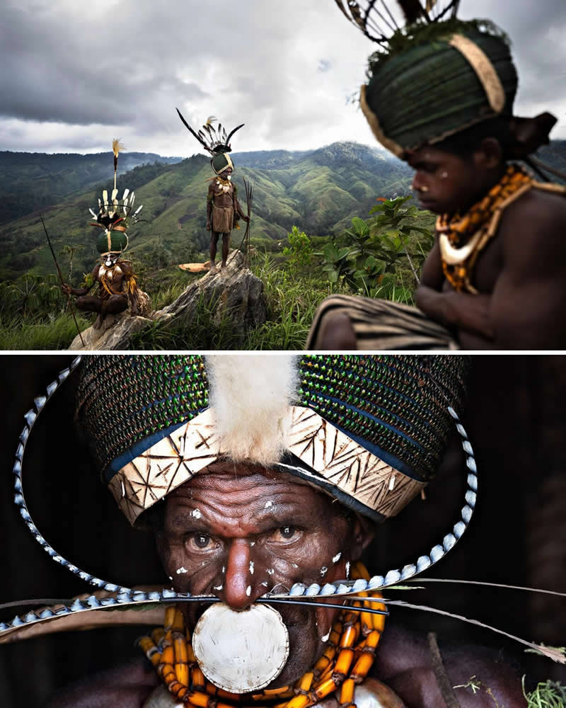 Portrait of a Dani tribal elder wearing traditional headdress and ornaments paired with a mountainous highland landscape in Papua, Indonesia, where Dani men stand on a ridge in ceremonial attire, highlighting the deep cultural connection between indigenous traditions and the rugged highland environment.