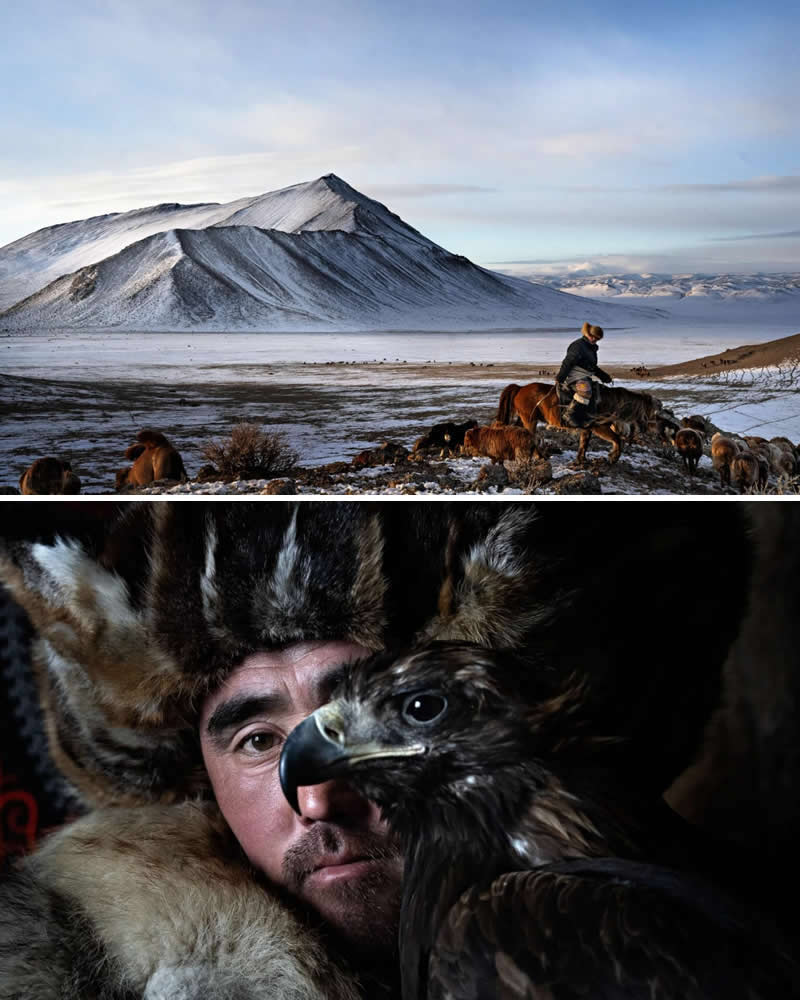 Portrait of a Berkutchi eagle hunter wearing traditional fur clothing with a golden eagle paired with a snowy Mongolian steppe landscape where a rider herds animals near mountains, illustrating the deep cultural bond between Mongolian hunters, eagles, and the land.