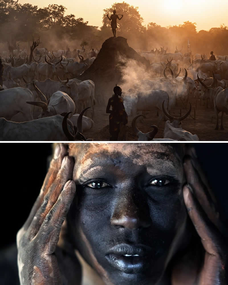Portrait of a Mundari man with ash-covered face paired with a sunrise scene of Mundari cattle herders surrounded by large-horned cattle and smoke in South Sudan, highlighting the strong cultural connection between the Mundari people, their livestock, and the land.