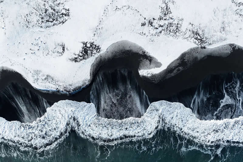 "Black Eagle" by Luca Tambella - The Nature Photography Contest Winners