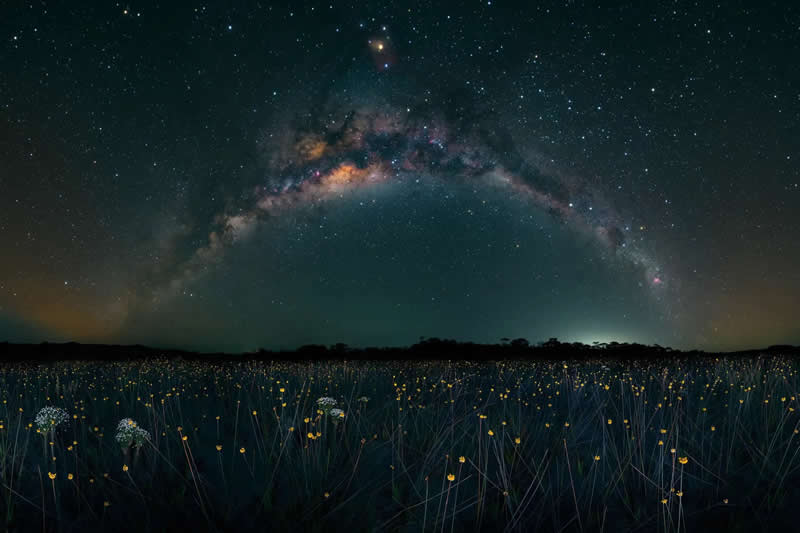 "Golden Drops Beneath the Milky Way" by Marcio Cabral - The Nature Photography Contest Winners