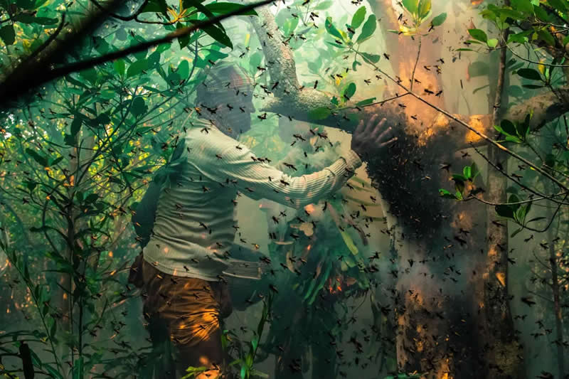 Sharing the Planet - "The Honey Keepers of Sundarbans" by Muhammad Mostafigur Rahman - The Nature Photography Contest Winners