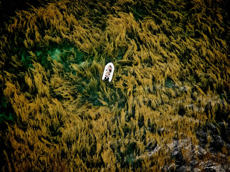 National Awards 1st Place, Vietnam: "Adrift in the Sea of Weeds" by Hieu Linh Nguyen - 2026 Sony World Photography Awards