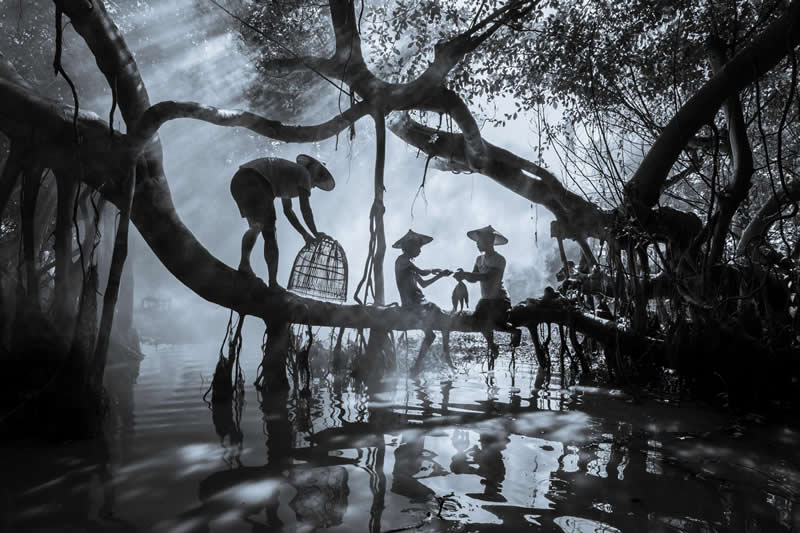 National Awards 1st Place, Myanmar: "Fishing Together" by Kyaw Zayar Lin - 2026 Sony World Photography Awards
