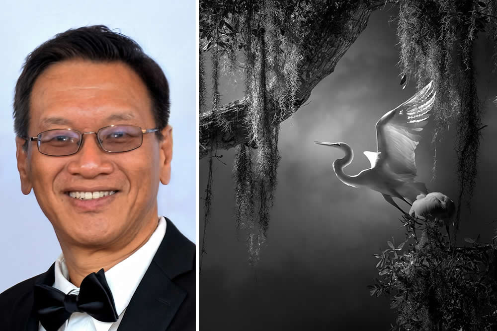 Fenqiang Liu fine-art black and white bird photography of a great egret in Florida, WNPA 2026 Gold Medalist Birds category.