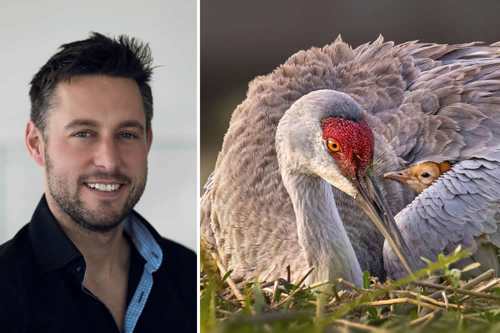 Robert Gloeckner urban wildlife photography featuring a polar bear and human waste in Churchill Manitoba, 2026 Gold Winner.