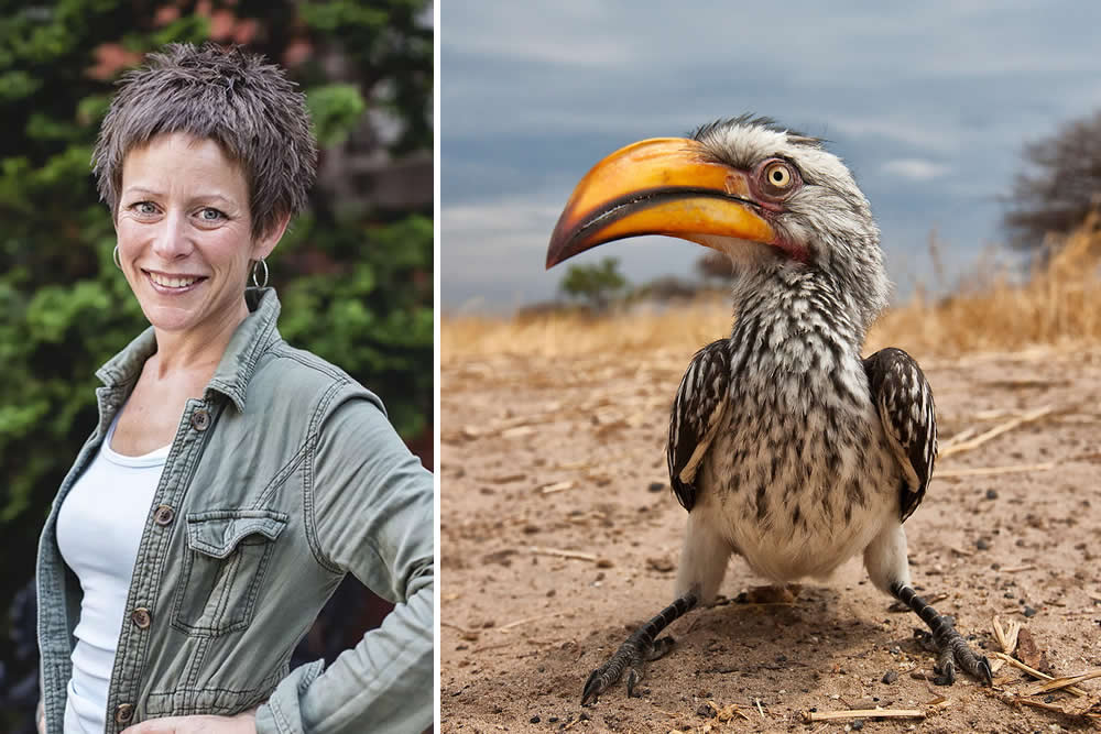 Karine Aigner ethical wildlife photography capturing intimate insect behavior and conservation stories, 2026 National Geographic contributor.