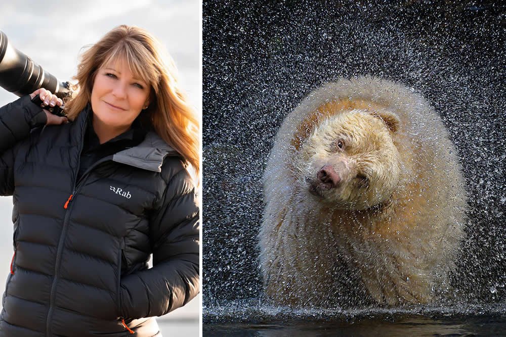Michelle Valberg Nikon Ambassador wildlife portrait of a spirit bear, NANPA 2026 Best in Show winner nature photography.