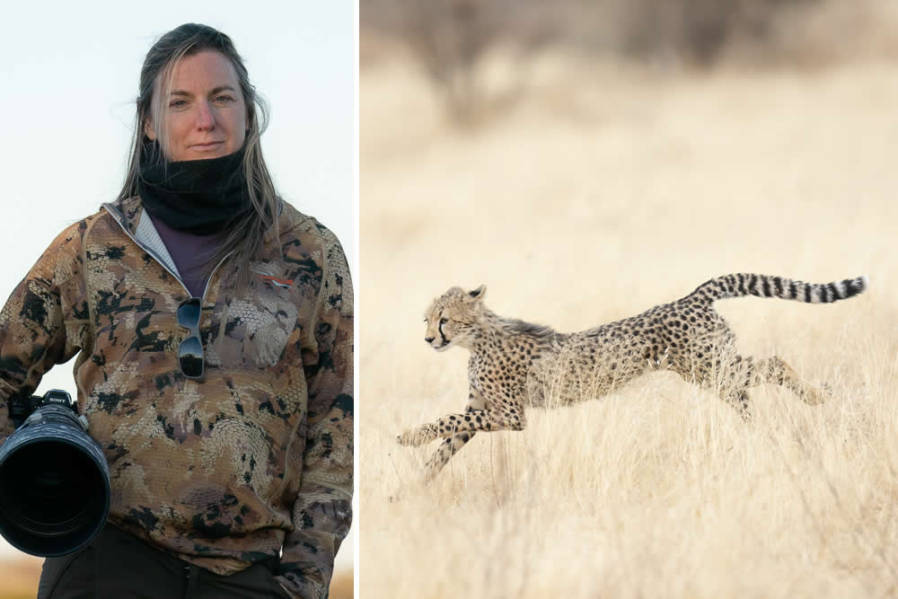 Melissa Groo ethical wildlife photography of a Great Blue Heron, featuring authoritative conservation storytelling and 2026 NANPA keynote leadership.