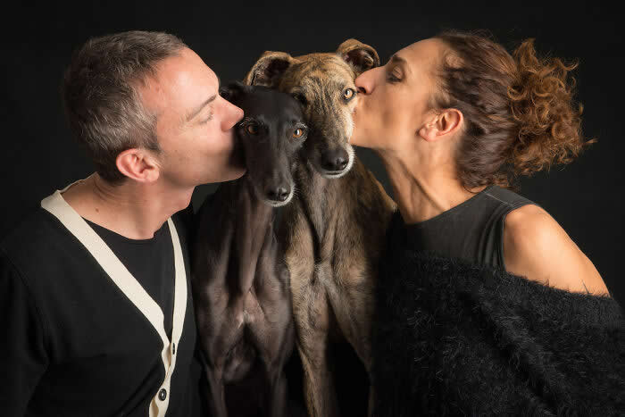 A studio portrait of a couple gently kissing two slender dogs from each side, with the dogs facing forward, captured in soft lighting against a dark background, expressing affection, symmetry, and deep human–animal connection.