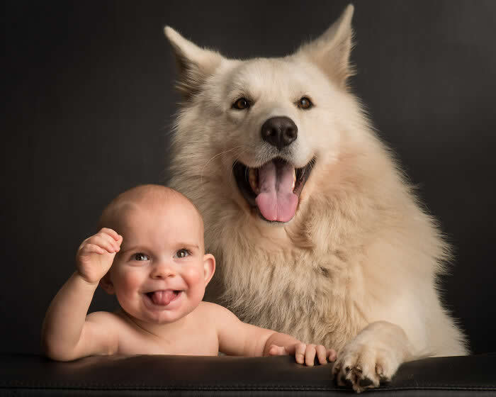 A joyful baby and a large fluffy white dog sit side by side, both with playful expressions, captured in soft studio lighting against a dark background, highlighting innocence, companionship, and a heartwarming human–animal bond.