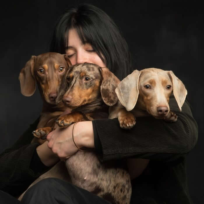 A woman gently embraces three dachshunds close to her chest, eyes closed in a tender moment, captured in soft studio lighting against a dark background, expressing warmth, affection, and a deep human–animal bond.
