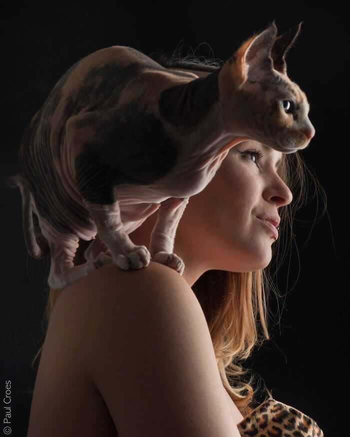A side-profile portrait of a woman with a Sphynx cat perched on her shoulder, both gazing in the same direction, captured in soft studio lighting against a dark background, emphasizing harmony and shared focus.