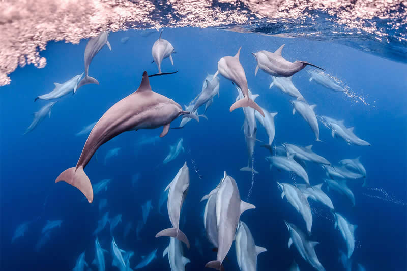 Mesmerizing Ocean Moments by Tobias Friedrich