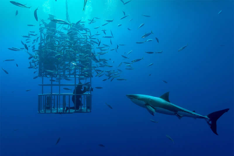 Mesmerizing Ocean Moments by Tobias Friedrich