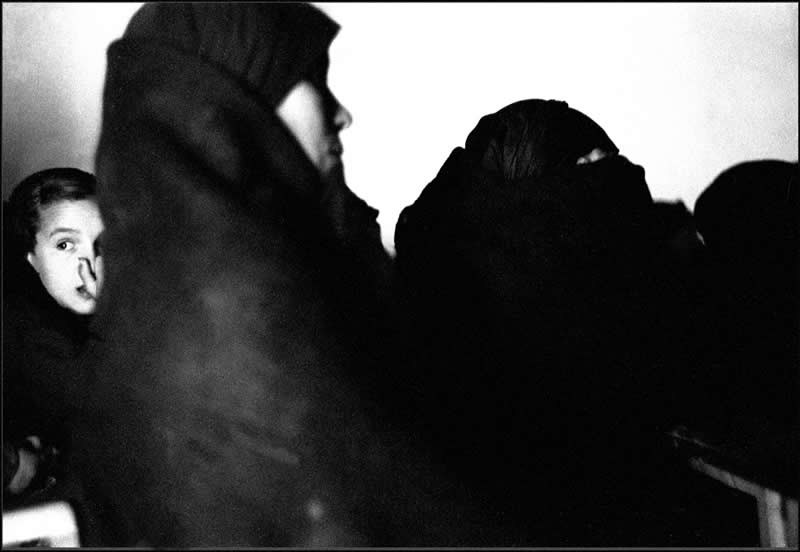 Spanish Master Photographer and Film Director Carlos Saura