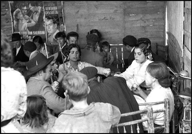 Spanish Master Photographer and Film Director Carlos Saura