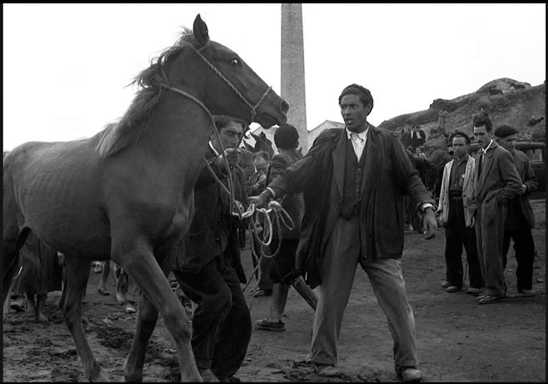 Spanish Master Photographer and Film Director Carlos Saura