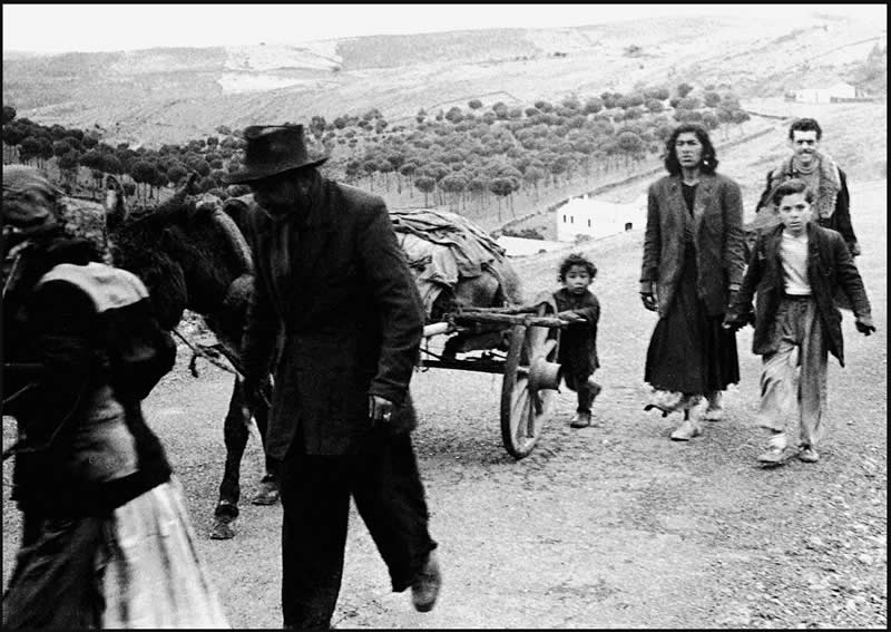 Spanish Master Photographer and Film Director Carlos Saura