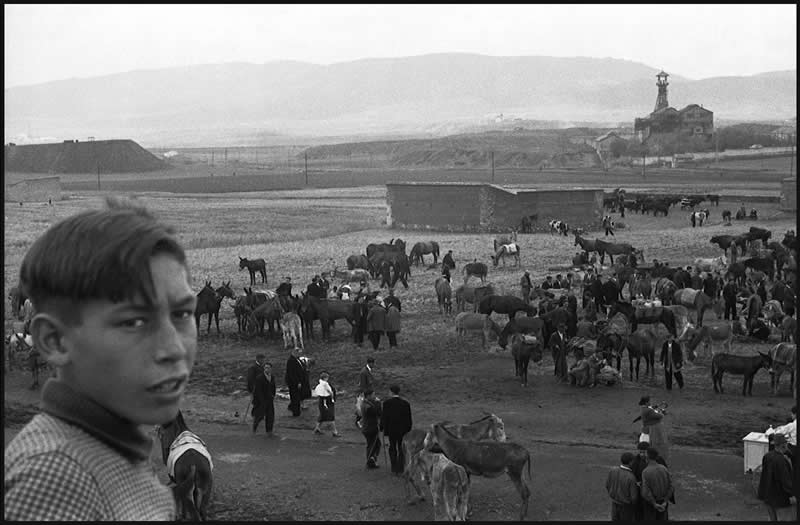 Spanish Master Photographer and Film Director Carlos Saura