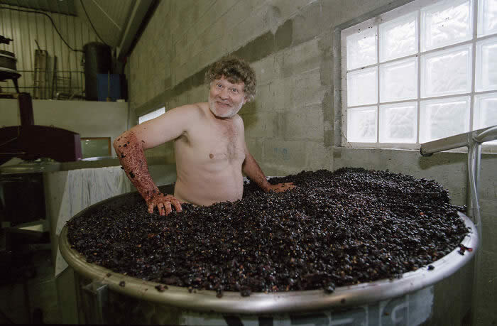 Louis Jadot Wine Photographer Of The Year, People: Jean-Michel Deiss Foot Treading His Pinot Noir In Bergheim, Alsace, France By Claes Lofgren - 2026 Food Photography Awards