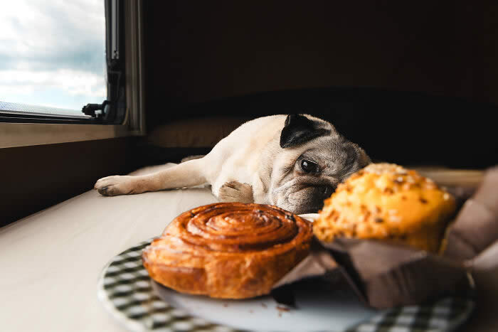 Food Influencer: Paws And Pastries By Sylvie Pabion Martín - 2026 Food Photography Awards