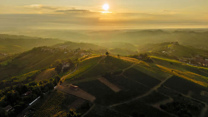 Louis Jadot Wine Photographer Of The Year, Places: A Bird's Eye View Of The Hill By Alessandro Anglisani - 2026 Food Photography Awards