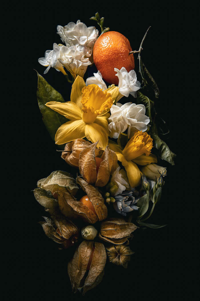 Cream Of The Crop: Posy Of Goldenberries, Mandarin And Daffodils By Ania Matczuk - 2026 Food Photography Awards