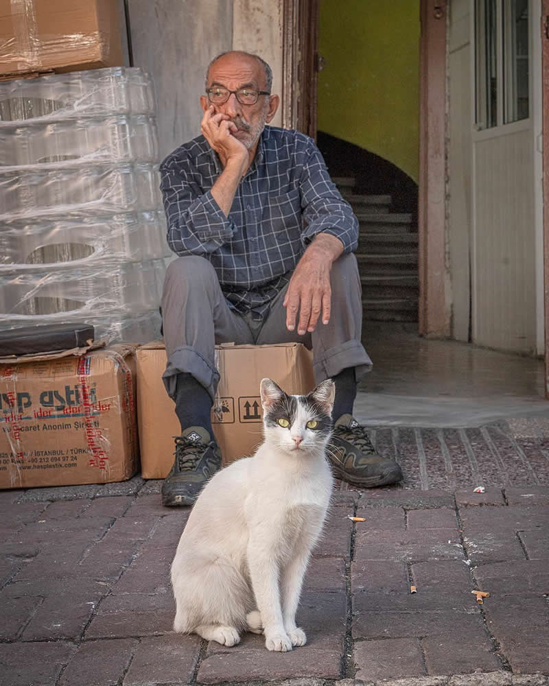 A white and gray street cat sits on a cobblestone alley in the foreground while an elderly man wearing glasses rests on stacked boxes behind it, leaning on his hand near a shop entrance.