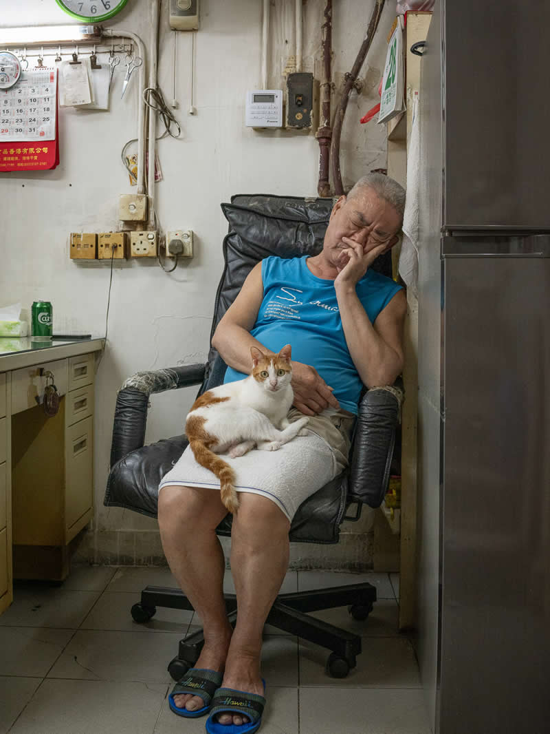 An elderly shop owner naps in a chair inside a small store while an orange and white cat rests comfortably on his lap, surrounded by everyday items and a modest interior setting.