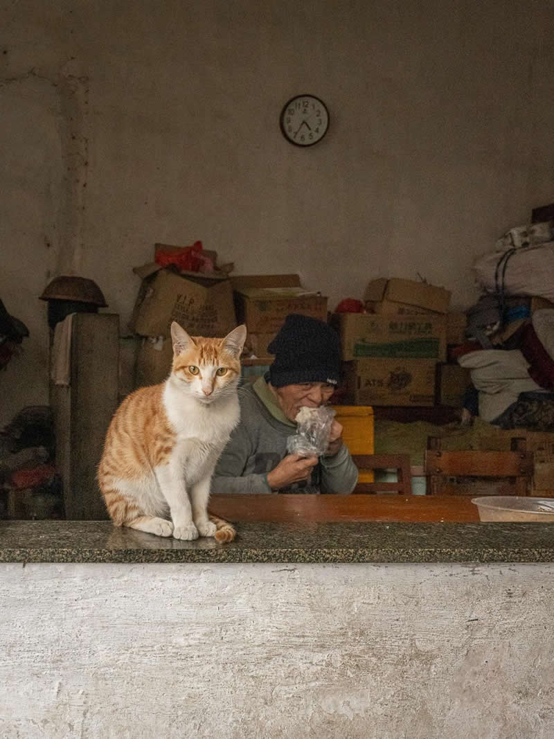 An orange and white cat sits on a worn shop counter in the foreground while an elderly man in the background eats inside a modest, cluttered interior space, creating a candid everyday scene.