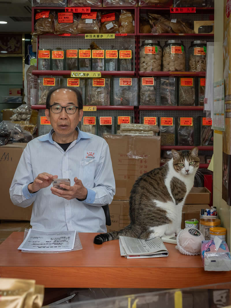 A tabby and white cat sits on a shop counter beside a man using his phone, with shelves of packaged goods and labeled containers behind them, capturing a typical day inside a small neighborhood store.