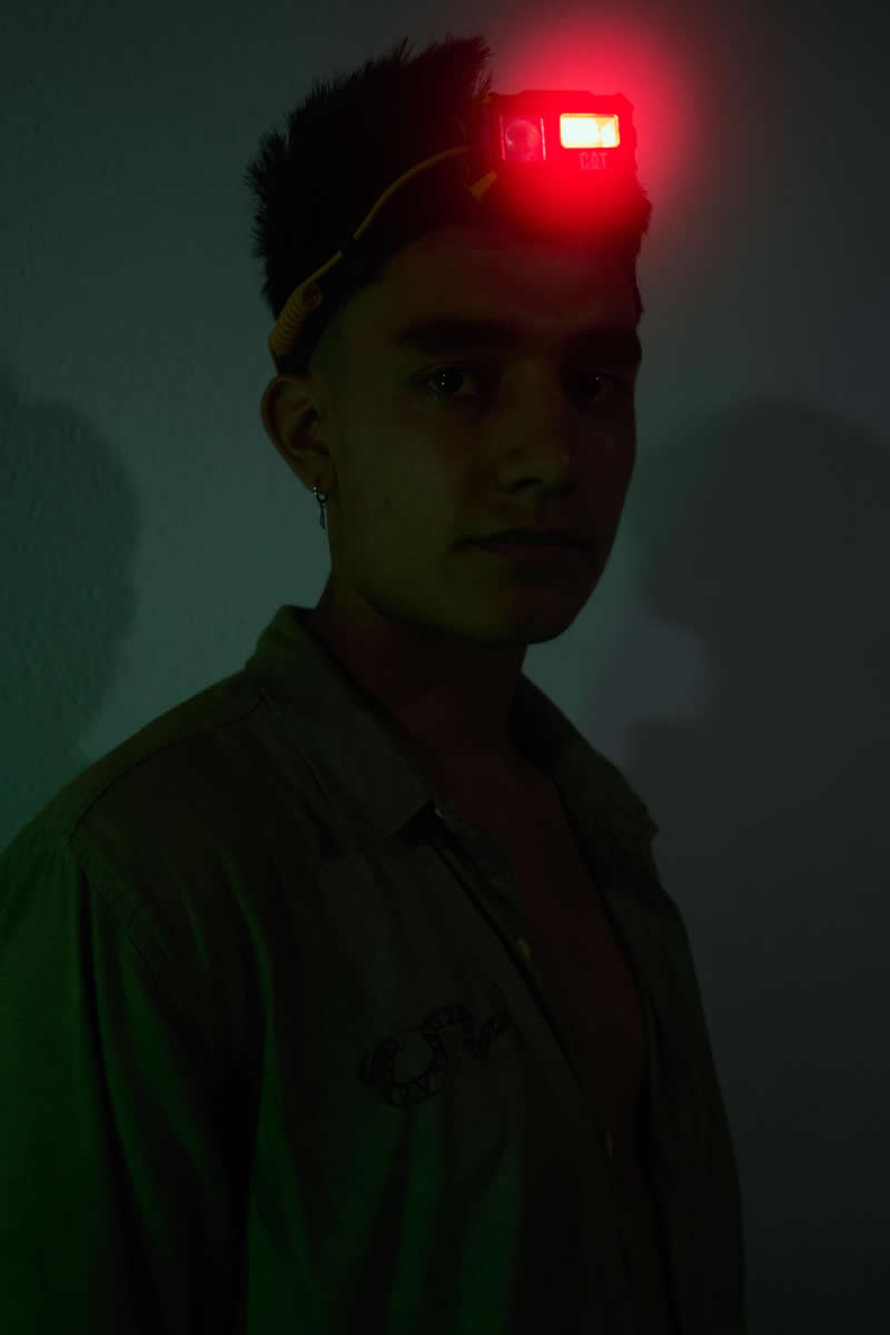 Environment 1st Place: "Notes on How to Build a Forest" by Isadora Romero - Sony World Photography Awards 2026 Winners