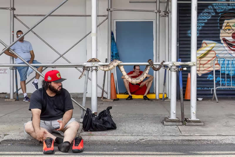 "Hanging" by Kim Keller, USA - The Artist Gallery Awards 2026 Street Winners