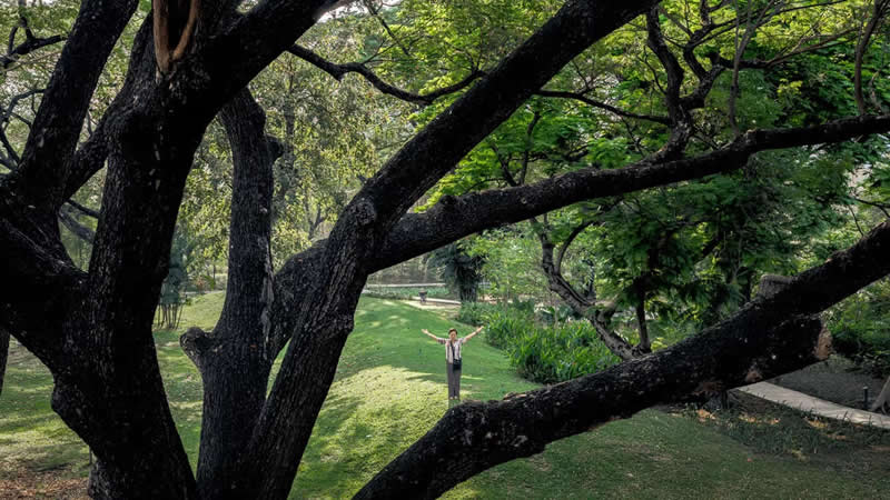 "Y Shape" by Witsawarut Kekina, Thailand - The Artist Gallery Awards 2026 Street Winners