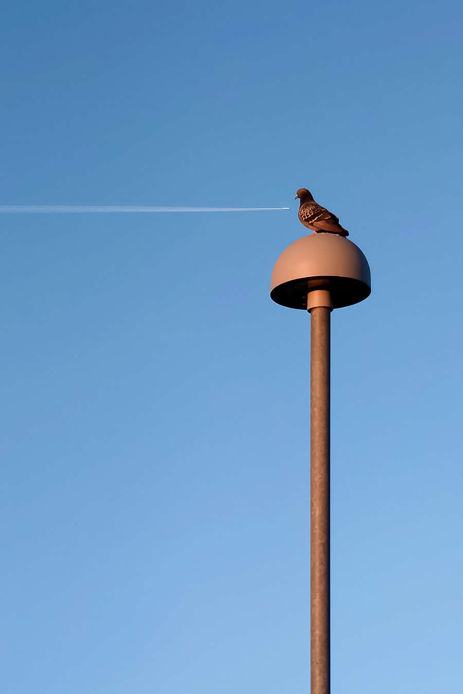 Mobile Photography Awards Street Winners - Aviators by David Valko