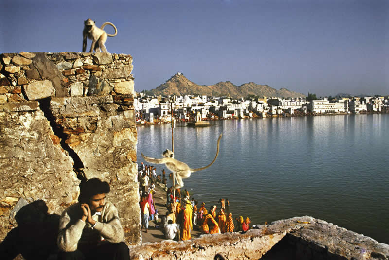 Indian Master Photographer Raghu Rai