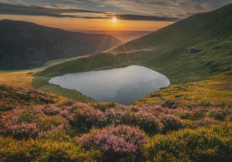 Commended: "Bowscale Tarn" by Matthew Turner - Garden Photographer of the Year Wildflower Landscapes Winners