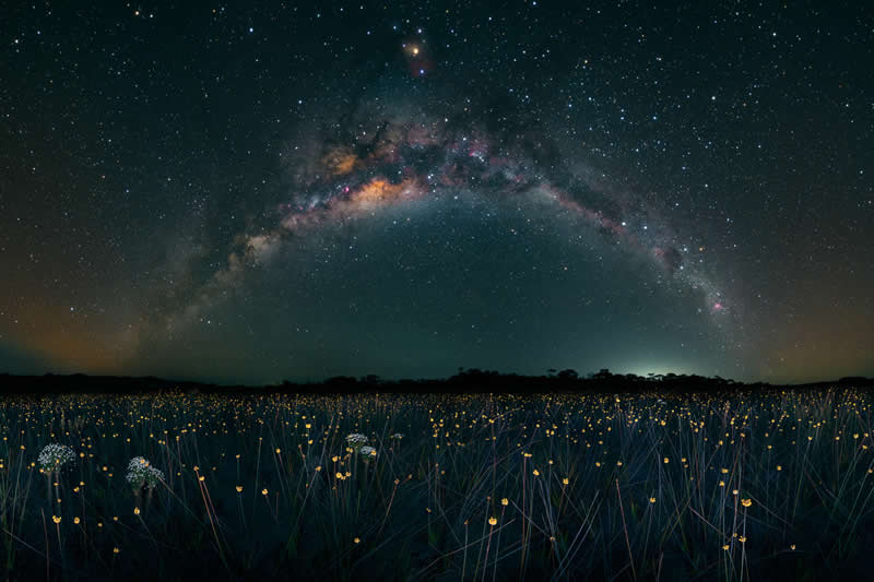 Highly Commended: "Magic Land in Bloom" by Marcio Cabral - Garden Photographer of the Year Wildflower Landscapes Winners