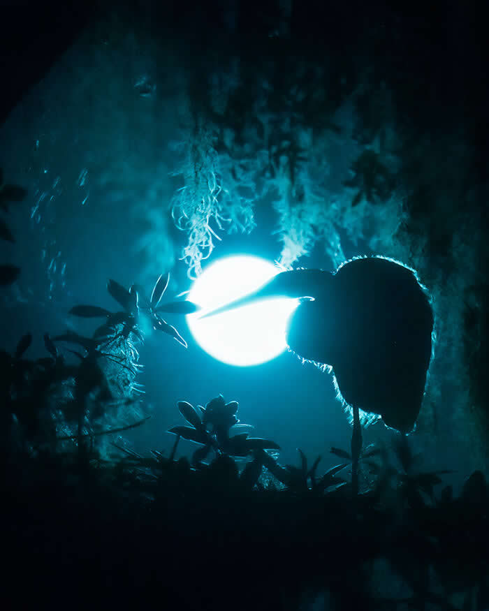 A silhouetted Great Egret standing among foliage at night, backlit by a glowing full moon, with soft blue tones and hanging moss creating a mysterious, dreamlike atmosphere.