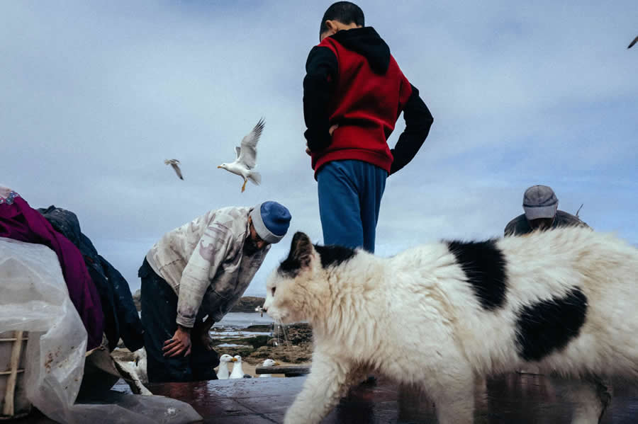 2026 Street Photography Winners: 10 Brilliantly Composed Photos from The Independent Photographer 16 The Independent Photographer Street Photography Winners