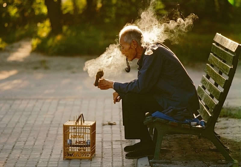 Old Man with his Pet bird, Ritan Park, Beijing, China by Thomas Hoepker - Iconic Color Photos by Legendary Photographers