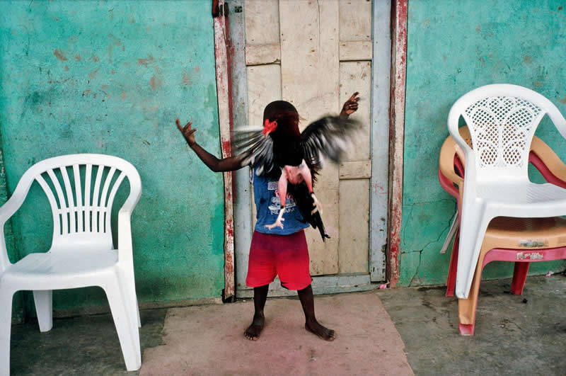 The Suffering of Light Along the river, Yaviza, Panama by Alex Webb - Iconic Color Photos by Legendary Photographers