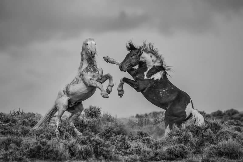 Black and White - 3rd Place: Photo by Tony Douzenis, United States - 35 Photography Awards