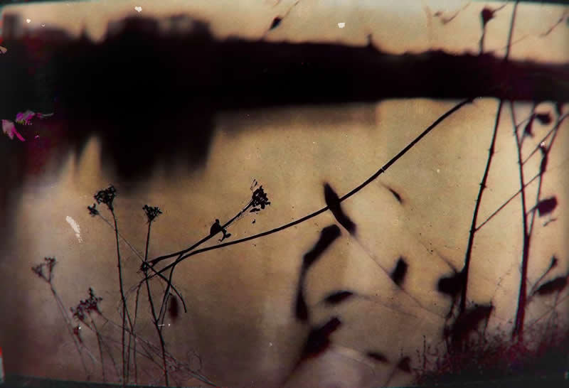 Artistic Abstract Photos by Chris Friel