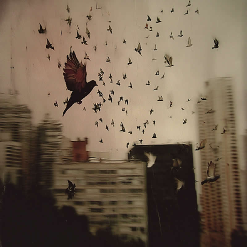 Artistic Abstract Photos by Chris Friel