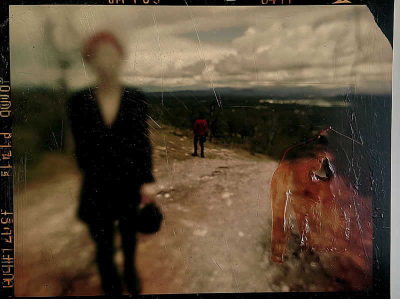 Artistic Abstract Photos by Chris Friel
