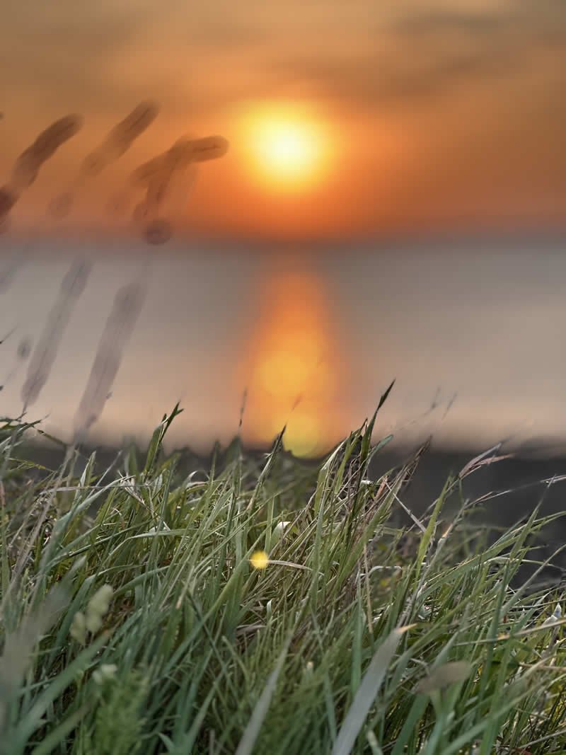 Gurushots Tell a Story Winners Photo Challenge