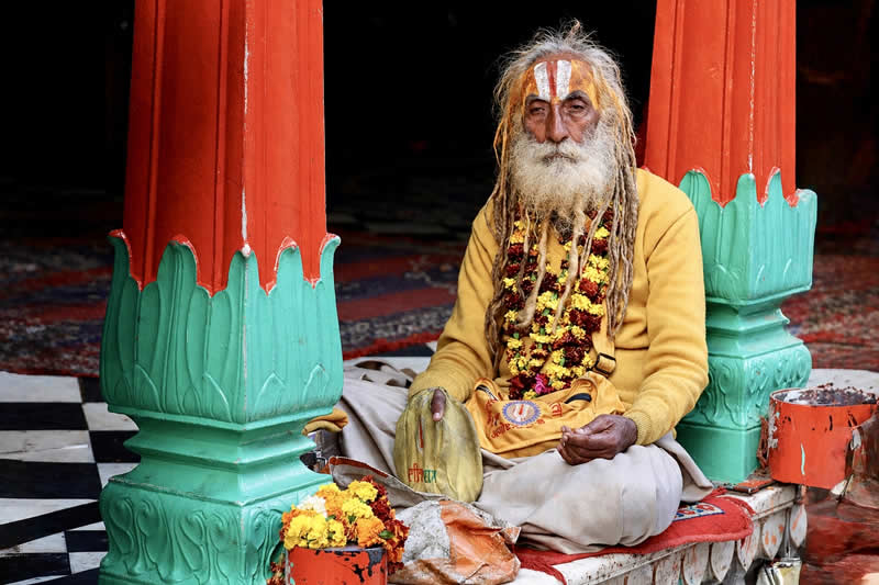 Gurushots Tell a Story Winners Photo Challenge